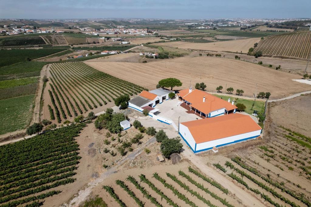 Whome Countryside Charm Near Wedding Venue W/ Bbq Patio Torres Vedras Extérieur photo